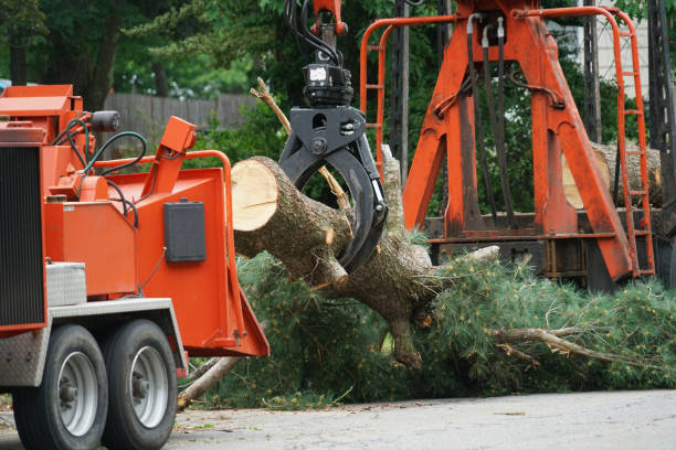 Mulching Services in Winfield, MO